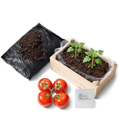 com-four ® 1x Tomaten Anzuchtset mit Holzkiste, Tomaten selber pflanzen Mini Garten Pflanzset für Balkon Terrasse und Fensterbank com-four ® 1x Tomaten Anzuchtset mit Holzkiste, Tomaten selber pflanzen Mini Garten Pflanzset für Balkon Terrasse und Fensterbank