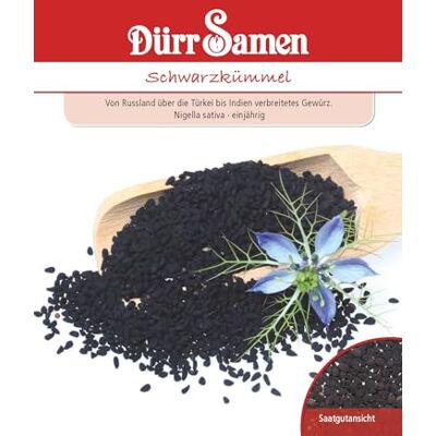 Dürr-Samen Schwarzkümmel Dürr-Samen Schwarzkümmel