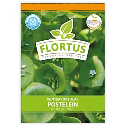 FLORTUS Freude an Vielfalt FLORTUS Winterportulak Postelein Gemüsesamen Portulaksamen Wintergemüse Samen zur Anzucht für Garten, Balkon, Küche & Fensterbank FLORTUS Freude an Vielfalt FLORTUS Winterportulak Postelein Gemüsesamen Portulaksamen Wintergemüse Samen zur Anzucht für Garten, Balkon, Küche & Fensterbank