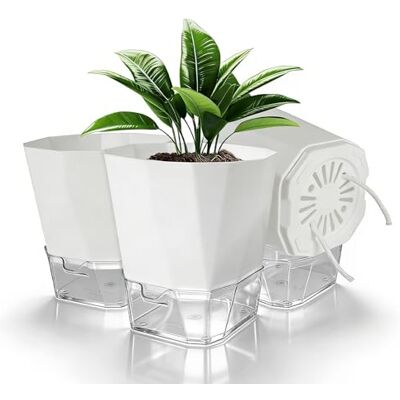 Romon Blumentopf mit Bewässerungssystem, 3er Set Selbstbewässernde Kräutertöpfe, Doppelschicht-Design für Küche/Büro, Transparenter Wasserstandsanzeige für Pflanzen, Hydrokultur Topf, Weiß Ø 15,2cm Romon Blumentopf mit Bewässerungssystem, 3er Set Selbstbewässernde Kräutertöpfe, Doppelschicht-Design für Küche/Büro, Transparenter Wasserstandsanzeige für Pflanzen, Hydrokultur Topf, Weiß Ø 15,2cm