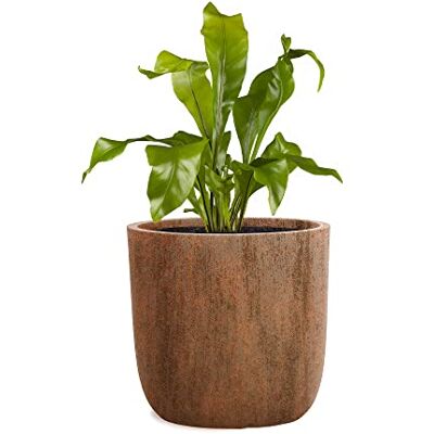 Pflanzwerk ® Pflanzkübel Cup Blumentöpfe Übertöpfe Ø51cm ROST *Frostbeständige Blumenkübel* *UV-Schutz* *Pflanzenkübel Premiumqualität* Pflanzwerk ® Pflanzkübel Cup Blumentöpfe Übertöpfe Ø51cm ROST *Frostbeständige Blumenkübel* *UV-Schutz* *Pflanzenkübel Premiumqualität*