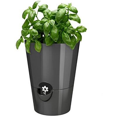 Emsa 514245 Kräutertopf für frische Kräuter, Ø 13 cm, Granit Blumentopf mit Bewässerungsboden und Wasserstandsanzeiger Emsa 514245 Kräutertopf für frische Kräuter, Ø 13 cm, Granit Blumentopf mit Bewässerungsboden und Wasserstandsanzeiger