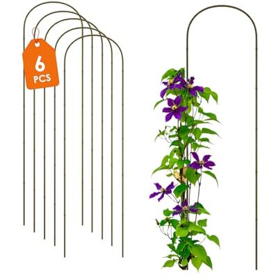 Spetebo Bambus Pflanzenstütze 6er Set 75 x 20 cm Natur Holz Rankbogen, Kletterhilfe für Rankpflanzen, U-Form Bambusbogen, Für Garten Pflanzen Spetebo Bambus Pflanzenstütze 6er Set 75 x 20 cm Natur Holz Rankbogen, Kletterhilfe für Rankpflanzen, U-Form Bambusbogen, Für Garten Pflanzen