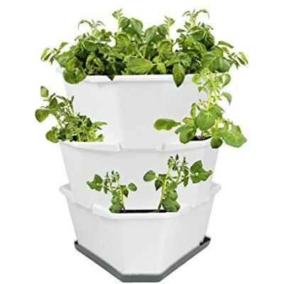 GUSTA GARDEN Paul Potato Starter Kartoffelturm stapelbar Hochbeet/Pflanzgefäß/Blumentopf für Balkon, Garten und Terrasse (3 Etagen, Weiß) inkl. Untersetzer GUSTA GARDEN Paul Potato Starter Kartoffelturm stapelbar Hochbeet/Pflanzgefäß/Blumentopf für Balkon, Garten und Terrasse (3 Etagen, Weiß) inkl. Untersetzer