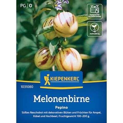 Kiepenkerl "Pepino"Samen Melonenbirne 1031080, Rasensaat Dekorative Blüten und Früchte, ertragreich, mehrjährig, für Freiland, Topf & Balkon Kiepenkerl "Pepino"Samen Melonenbirne 1031080, Rasensaat Dekorative Blüten und Früchte, ertragreich, mehrjährig, für Freiland, Topf & Balkon
