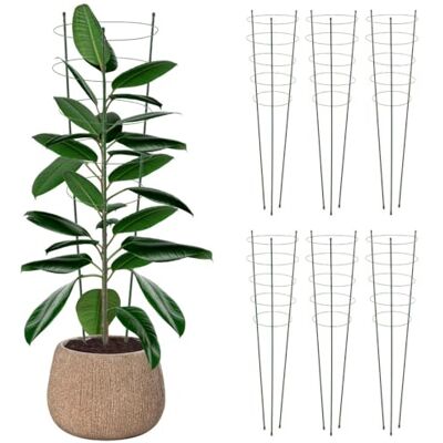 KADAX Rankhilfe für Pflanzen, 180cm, 6er Set, Pflanzenstütze aus Stahl, Blumenstütze, Pflanzenhalter, Rankgitter für Kletterpflanzen im Garten oder Blumentopf, Rankturm für Tomaten KADAX Rankhilfe für Pflanzen, 180cm, 6er Set, Pflanzenstütze aus Stahl, Blumenstütze, Pflanzenhalter, Rankgitter für Kletterpflanzen im Garten oder Blumentopf, Rankturm für Tomaten