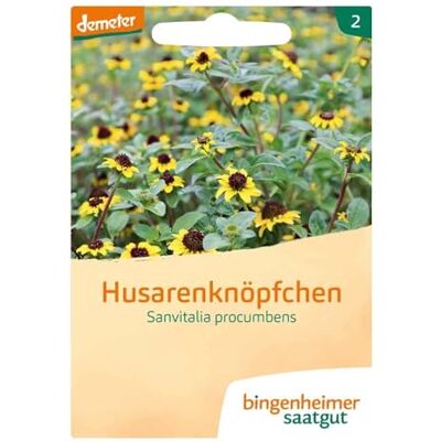 Bingenheimer Saatgut Husarenknöpfchen, Sanvitalia procumbens (1) Bingenheimer Saatgut Husarenknöpfchen, Sanvitalia procumbens (1)