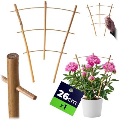 KADAX Rankgitter aus Bambus, 26 x 23 cm, Rankhilfe für Pflanzen, Pflanzengitter, Kletterhilfe & Pflanzstütze für Zimmerpflanzen & Kletterpflanzen KADAX Rankgitter aus Bambus, 26 x 23 cm, Rankhilfe für Pflanzen, Pflanzengitter, Kletterhilfe & Pflanzstütze für Zimmerpflanzen & Kletterpflanzen