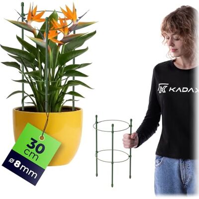 KADAX Rankhilfe für Pflanzen, 30cm, Pflanzenstütze aus Stahl, Blumenstütze, Pflanzenhalter, Rankgitter für Kletterpflanzen im Garten oder Blumentopf, Rankturm für Tomaten KADAX Rankhilfe für Pflanzen, 30cm, Pflanzenstütze aus Stahl, Blumenstütze, Pflanzenhalter, Rankgitter für Kletterpflanzen im Garten oder Blumentopf, Rankturm für Tomaten