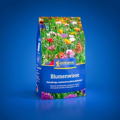 Kiepenkerl Blumenwiese 1085310, Rasensaat Kräutern und extensiven Gräsern, Blumensamen Mischung, mehrjährig Kiepenkerl Blumenwiese 1085310, Rasensaat Kräutern und extensiven Gräsern, Blumensamen Mischung, mehrjährig