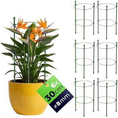 KADAX Rankhilfe für Pflanzen, 30cm, 6er Set, Pflanzenstütze aus Stahl, Blumenstütze, Pflanzenhalter, Rankgitter für Kletterpflanzen im Garten oder Blumentopf, Rankturm für Tomaten KADAX Rankhilfe für Pflanzen, 30cm, 6er Set, Pflanzenstütze aus Stahl, Blumenstütze, Pflanzenhalter, Rankgitter für Kletterpflanzen im Garten oder Blumentopf, Rankturm für Tomaten