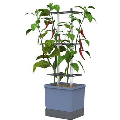 GUSTA GARDEN Charly Chili Chilitopf Pflanzentopf mit Rankhilfe, Bewässerungssystem & Robustem Rahmen (Blau, XL) GUSTA GARDEN Charly Chili Chilitopf Pflanzentopf mit Rankhilfe, Bewässerungssystem & Robustem Rahmen (Blau, XL)