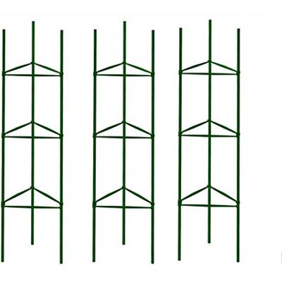generic dauyavv 3 Packungen Tomatenkäfige, Garten Pflanzenstecker Gemüseobelisken für Kletterpflanzen 50m Twist Tie Multifunktionale Kletterpflanzenstütze für Rebe Gemüse generic dauyavv 3 Packungen Tomatenkäfige, Garten Pflanzenstecker Gemüseobelisken für Kletterpflanzen 50m Twist Tie Multifunktionale Kletterpflanzenstütze für Rebe Gemüse