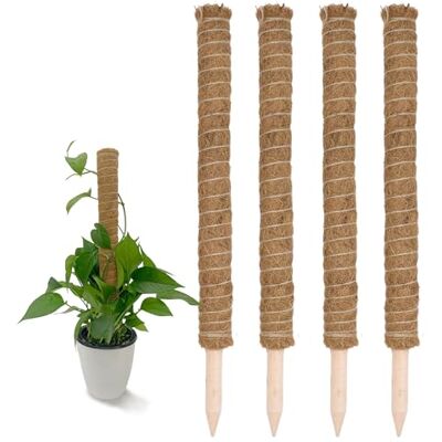 Spetebo Kokos Rankstab 60 cm Natur 4 Stück Pflanzstab für Zimmerpflanzen – Blumen Pflanz Stab Topf Rankhilfe Kletterhilfe Kokosstange für Kletterpflanzen Spetebo Kokos Rankstab 60 cm Natur 4 Stück Pflanzstab für Zimmerpflanzen – Blumen Pflanz Stab Topf Rankhilfe Kletterhilfe Kokosstange für Kletterpflanzen