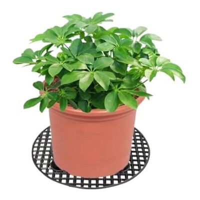 LSNNMU 7 Stück Pflanzenschalenhalter aus Kunststoff FüR Terrasse Erhöhter, selbstbewässernder Stoffboden for den Innen- und Außenbereich, Vlies-Wachstumsbeutel, Blumentopf-Tablett(40CM) LSNNMU 7 Stück Pflanzenschalenhalter aus Kunststoff FüR Terrasse Erhöhter, selbstbewässernder Stoffboden for den Innen- und Außenbereich, Vlies-Wachstumsbeutel, Blumentopf-Tablett(40CM)