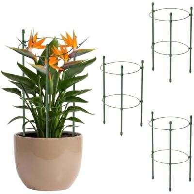 KADAX Rankhilfe für Pflanzen, 30cm, 3er Set, Pflanzenstütze aus Stahl, Blumenstütze, Pflanzenhalter, Rankgitter für Kletterpflanzen im Garten oder Blumentopf, Rankturm für Tomaten KADAX Rankhilfe für Pflanzen, 30cm, 3er Set, Pflanzenstütze aus Stahl, Blumenstütze, Pflanzenhalter, Rankgitter für Kletterpflanzen im Garten oder Blumentopf, Rankturm für Tomaten