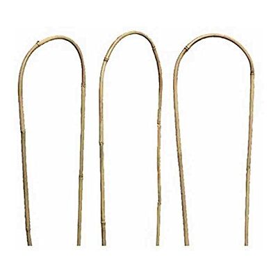 Siena Garden Rankhilfe, Anzuchthilfe, bambus, 90x22x2,5cm 436431 Siena Garden Rankhilfe, Anzuchthilfe, bambus, 90x22x2,5cm 436431