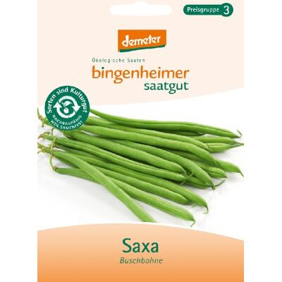 Bingenheimer Saatgut Buschbohne Saxa Gemüse Saatgut / Samen Bingenheimer Saatgut Buschbohne Saxa Gemüse Saatgut / Samen