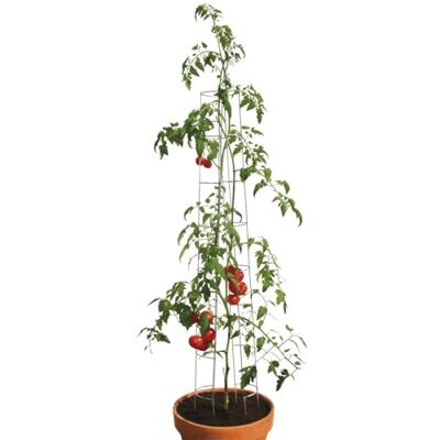 Bellissa Tomaten Rankhilfe Tomatenturm 6er-Set Stahl verzinkt 120 cm Bellissa Tomaten Rankhilfe Tomatenturm 6er-Set Stahl verzinkt 120 cm