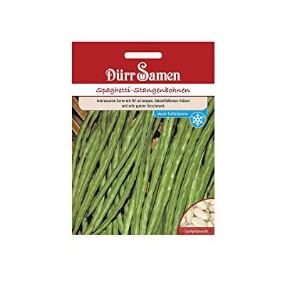 Dürr-Samen Spaghetti-Stangenbohnen Saatgut Dürr-Samen Spaghetti-Stangenbohnen Saatgut