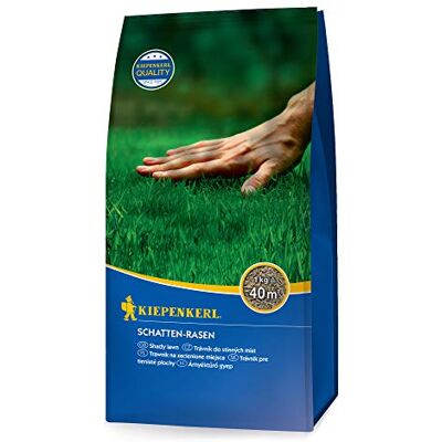 Kiepenkerl - Seed Speciale Erba Ombreggiato Zona 1 Kg - Rasen Samen Kiepenkerl - Seed Speciale Erba Ombreggiato Zona 1 Kg - Rasen Samen