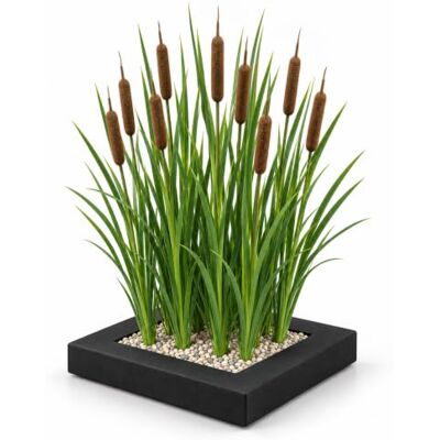 vdvelde.com Rohrkolben Teichpflanze, 4x Typha latifolia, Pflanzinsel Sumpfpflanze für Gartenteich und Uferzone, wird bis 80 cm hoch, winterhart, mit Korb, Substrat und Dünger vdvelde.com Rohrkolben Teichpflanze, 4x Typha latifolia, Pflanzinsel Sumpfpflanze für Gartenteich und Uferzone, wird bis 80 cm hoch, winterhart, mit Korb, Substrat und Dünger