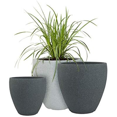 Pflanzwerk ® Pflanzkübel Kunststoff Cup Grau Ø56cm Blumentopf *Frostbeständige Blumenkübel* *100% ÖKOLOGISCH* *2 Jahre GARANTIE* *Premium Pflanzenkübel Qualität* Pflanzwerk ® Pflanzkübel Kunststoff Cup Grau Ø56cm Blumentopf *Frostbeständige Blumenkübel* *100% ÖKOLOGISCH* *2 Jahre GARANTIE* *Premium Pflanzenkübel Qualität*