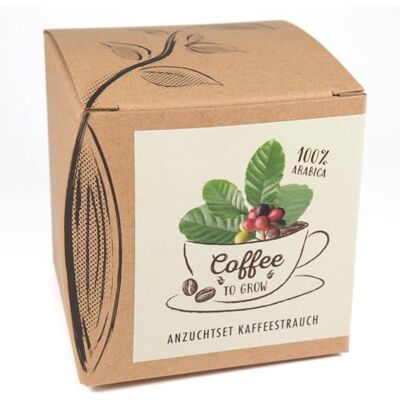NATUR KRAFTWERK Geschenk-Anzuchtset "Coffee-to-grow", Kaffeestrauch aus Eigenanbau, Inklusive Kokostopf und Anleitung NATUR KRAFTWERK Geschenk-Anzuchtset "Coffee-to-grow", Kaffeestrauch aus Eigenanbau, Inklusive Kokostopf und Anleitung