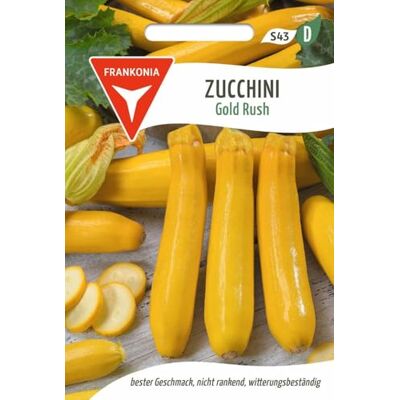 Frankonia Zucchini, Gold Rush F1 Gemüse-Samen Saatgut Zucchini-Samen (Cucurbita pepo) Frankonia Zucchini, Gold Rush F1 Gemüse-Samen Saatgut Zucchini-Samen (Cucurbita pepo)