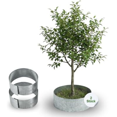 Gartenwelt Riegelsberger Rasenkante Kreis Metall Ø 30 cm – 2 Stück Baumeinfassung aus feuerverzinktem Stahl, Höhe 13 cm, robuste Beetumrandung & Mähkante, silberfarben Gartenwelt Riegelsberger Rasenkante Kreis Metall Ø 30 cm – 2 Stück Baumeinfassung aus feuerverzinktem Stahl, Höhe 13 cm, robuste Beetumrandung & Mähkante, silberfarben