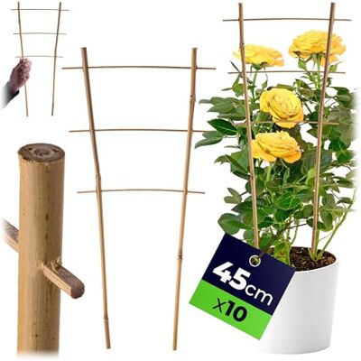 KADAX Rankgitter aus Bambus, 45 x 23 cm, 10er Set, Rankhilfe für Pflanzen, Pflanzengitter, Kletterhilfe & Pflanzstütze für Zimmerpflanzen & Kletterpflanzen KADAX Rankgitter aus Bambus, 45 x 23 cm, 10er Set, Rankhilfe für Pflanzen, Pflanzengitter, Kletterhilfe & Pflanzstütze für Zimmerpflanzen & Kletterpflanzen