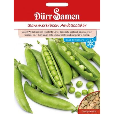 Dürr-Samen Sommererbsen Ambassador Saatgut Dürr-Samen Sommererbsen Ambassador Saatgut