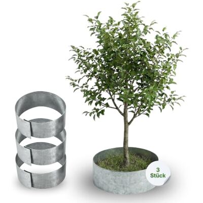 Gartenwelt Riegelsberger Rasenkante Kreis Metall Ø 40 cm – 3 Stück Baumeinfassung aus feuerverzinktem Stahl, Höhe 13 cm, robuste Beetumrandung & Mähkante, silberfarben Gartenwelt Riegelsberger Rasenkante Kreis Metall Ø 40 cm – 3 Stück Baumeinfassung aus feuerverzinktem Stahl, Höhe 13 cm, robuste Beetumrandung & Mähkante, silberfarben