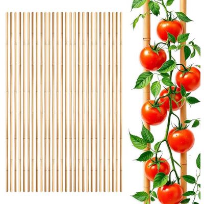 Spetebo Bambus Pflanzstab für Rankgewächse 105 cm Länge, 100 Stück Rankhilfe für Rankgewächse, Für Tomatenpflanzen, Bambusstab aus Holz, Tonkinstab Kletterhilfe, Für Tomaten Gurken Pflanzen Spetebo Bambus Pflanzstab für Rankgewächse 105 cm Länge, 100 Stück Rankhilfe für Rankgewächse, Für Tomatenpflanzen, Bambusstab aus Holz, Tonkinstab Kletterhilfe, Für Tomaten Gurken Pflanzen