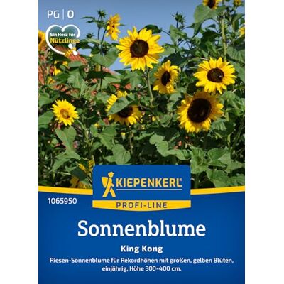 Kiepenkerl Sonnenblumensamen "King Kong" 1065950, Sommerblumensaat Riesen-Sonnenblumen für Rekordhöhen, Blumenwiese Kiepenkerl Sonnenblumensamen "King Kong" 1065950, Sommerblumensaat Riesen-Sonnenblumen für Rekordhöhen, Blumenwiese