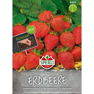 Sperli Erdbeerensamen Elan, F1, Pillensaat 80689 Immertragend & aromatisch Kübelgeeigent Inhhalt für 7 Pflanzen Obstsamen, Samen Obst, Pillensaat Sperli Erdbeerensamen Elan, F1, Pillensaat 80689 Immertragend & aromatisch Kübelgeeigent Inhhalt für 7 Pflanzen Obstsamen, Samen Obst, Pillensaat