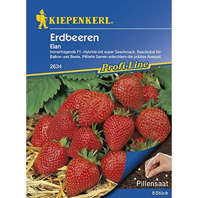 Kiepenkerl - Erdbeere Elan - Elan - 8 Pillen - Seed Kiepenkerl - Erdbeere Elan - Elan - 8 Pillen - Seed