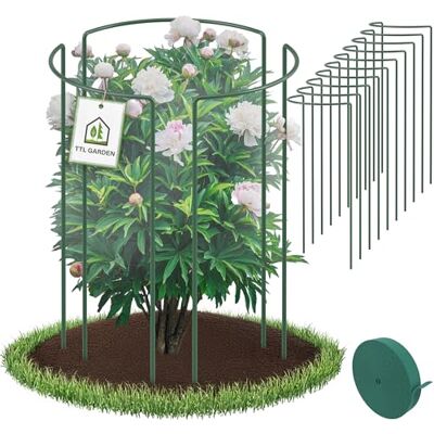 TTL GARDEN Strauchstützen 70cm x 40cm 16er Set + Klettband Pflanzenstütze Stahl rostfrei Kunststoff beschichtet Pflanzenhalter Staudenhalter Blumenhalter Hortensie Rose Pfingstrose Ø 5,5mm grün TTL GARDEN Strauchstützen 70cm x 40cm 16er Set + Klettband Pflanzenstütze Stahl rostfrei Kunststoff beschichtet Pflanzenhalter Staudenhalter Blumenhalter Hortensie Rose Pfingstrose Ø 5,5mm grün