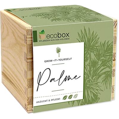 Feel Green ecobox, Palme, Pflanzen Aus Der Holzbox 11x11x10cm, Made in Austria, Nachhaltige Geschenkidee, Grow Your Own/Anzuchtset Feel Green ecobox, Palme, Pflanzen Aus Der Holzbox 11x11x10cm, Made in Austria, Nachhaltige Geschenkidee, Grow Your Own/Anzuchtset