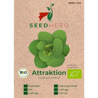 Seedhero BIO Kopfsalat Attraktion Gemüsesamen – 5er Pack – je Tüte ca. 100 Pflanzen (gesamt ca. 500) – Saatgut für Garten, Balkon & Hochbeet Seedhero BIO Kopfsalat Attraktion Gemüsesamen – 5er Pack – je Tüte ca. 100 Pflanzen (gesamt ca. 500) – Saatgut für Garten, Balkon & Hochbeet