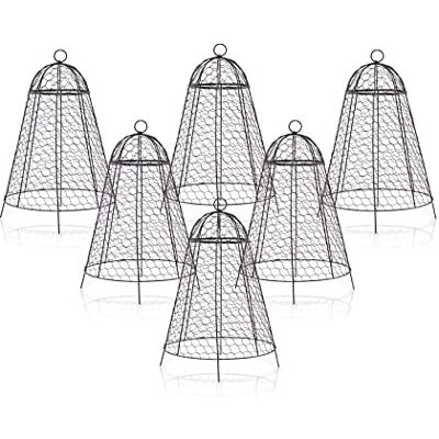 boldworks Hühnerdraht-Glocke, Gartendraht, Pflanzenschutz, 6er-Set, Gartenglocke, feiner, Dicker, rostfreier Abdeckungen als Glockenkuppel für Pflanzen, Pflanzenkäfige, 30.5 cm Durchmesser, 50.8 cm Höhe boldworks Hühnerdraht-Glocke, Gartendraht, Pflanzenschutz, 6er-Set, Gartenglocke, feiner, Dicker, rostfreier Abdeckungen als Glockenkuppel für Pflanzen, Pflanzenkäfige, 30.5 cm Durchmesser, 50.8 cm Höhe