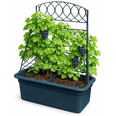Prosperplast Blumentopf mit Pergola – Pflanzkübel mit Rankhilfe – ideal für Kletterpflanzen wetterfest & robust Maße: 58 x 78 cm Anthrazit Prosperplast Blumentopf mit Pergola – Pflanzkübel mit Rankhilfe – ideal für Kletterpflanzen wetterfest & robust Maße: 58 x 78 cm Anthrazit