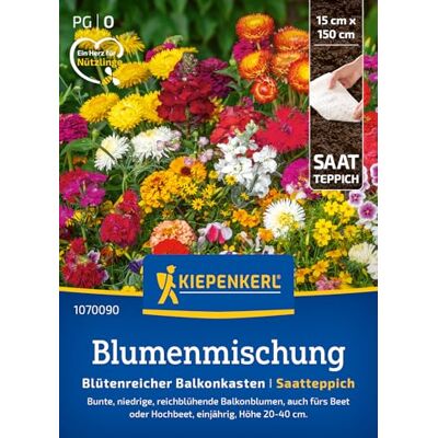 Kiepenkerl Blumensamen-Mischung "Blütenreicher Balkonkasten" 1070090 Farbenfrohe Blumensamenmischung für kreative Pflanzungen, Blumenwiese, Höhe 20-40 cm, einjährig Kiepenkerl Blumensamen-Mischung "Blütenreicher Balkonkasten" 1070090 Farbenfrohe Blumensamenmischung für kreative Pflanzungen, Blumenwiese, Höhe 20-40 cm, einjährig