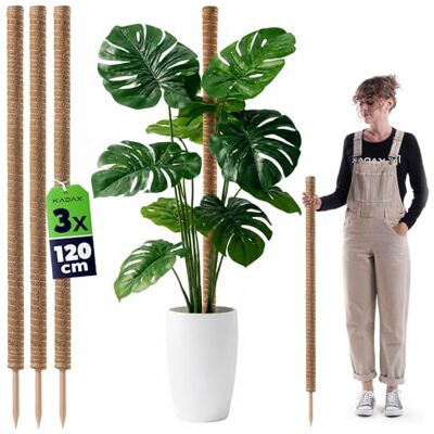 KADAX Monstera Rankhilfe – 3er Set Pflanzstab aus Kokosfaser (120 cm), Kokosstab & Moosstab für Zimmerpflanzen, Kletterhilfe & Pflanzenstütze für Innen- und Außenbereich KADAX Monstera Rankhilfe – 3er Set Pflanzstab aus Kokosfaser (120 cm), Kokosstab & Moosstab für Zimmerpflanzen, Kletterhilfe & Pflanzenstütze für Innen- und Außenbereich