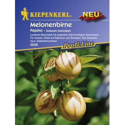 Sperli Gemüsesamen Melonenbirne Pepino, grün Sperli Gemüsesamen Melonenbirne Pepino, grün