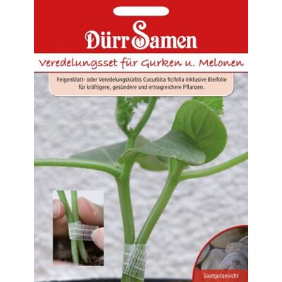 Dürr-Samen Veredelungs-Set Für Gurken und Melonen Saatgut Dürr-Samen Veredelungs-Set Für Gurken und Melonen Saatgut