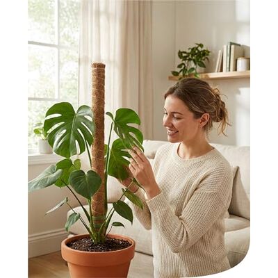 Bellissa Kokosstab 1er-Set (80 cm) – Pflanzstab für Monstera & Efeutute – Rankhilfe & Pflanzenstütze für Garten & Balkon – Naturprodukt mit Holzkern – biologisch abbaubar – steckbar erweiterbar Bellissa Kokosstab 1er-Set (80 cm) – Pflanzstab für Monstera & Efeutute – Rankhilfe & Pflanzenstütze für Garten & Balkon – Naturprodukt mit Holzkern – biologisch abbaubar – steckbar erweiterbar