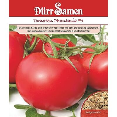 Dürr-Samen Tomaten Phantasia F1 Saatgut Dürr-Samen Tomaten Phantasia F1 Saatgut