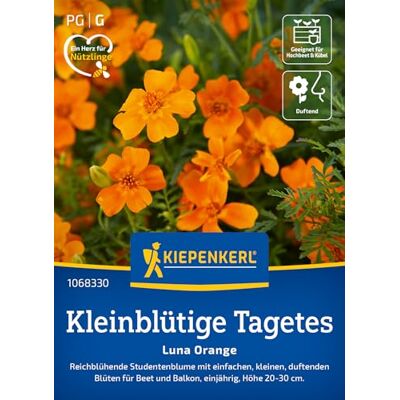 Kiepenkerl Kleinblütige Tagetessamen Luna Orange 1068330 Studentenblume für Beet und Balkon für eine üppige Blütenpracht Pflanzen, Blumensamen, Saatgut Kiepenkerl Kleinblütige Tagetessamen Luna Orange 1068330 Studentenblume für Beet und Balkon für eine üppige Blütenpracht Pflanzen, Blumensamen, Saatgut