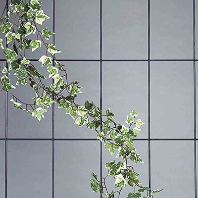 Siena Garden Spalier 5-strebig, 150x75cm, 763758 Siena Garden Spalier 5-strebig, 150x75cm, 763758